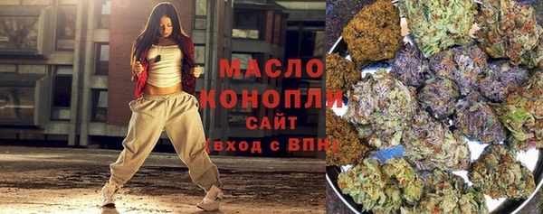 молекула духа Надым