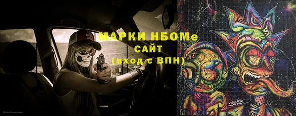 молекула духа Надым