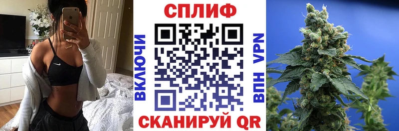 Канабис Amnesia  купить наркоту  Сальск 